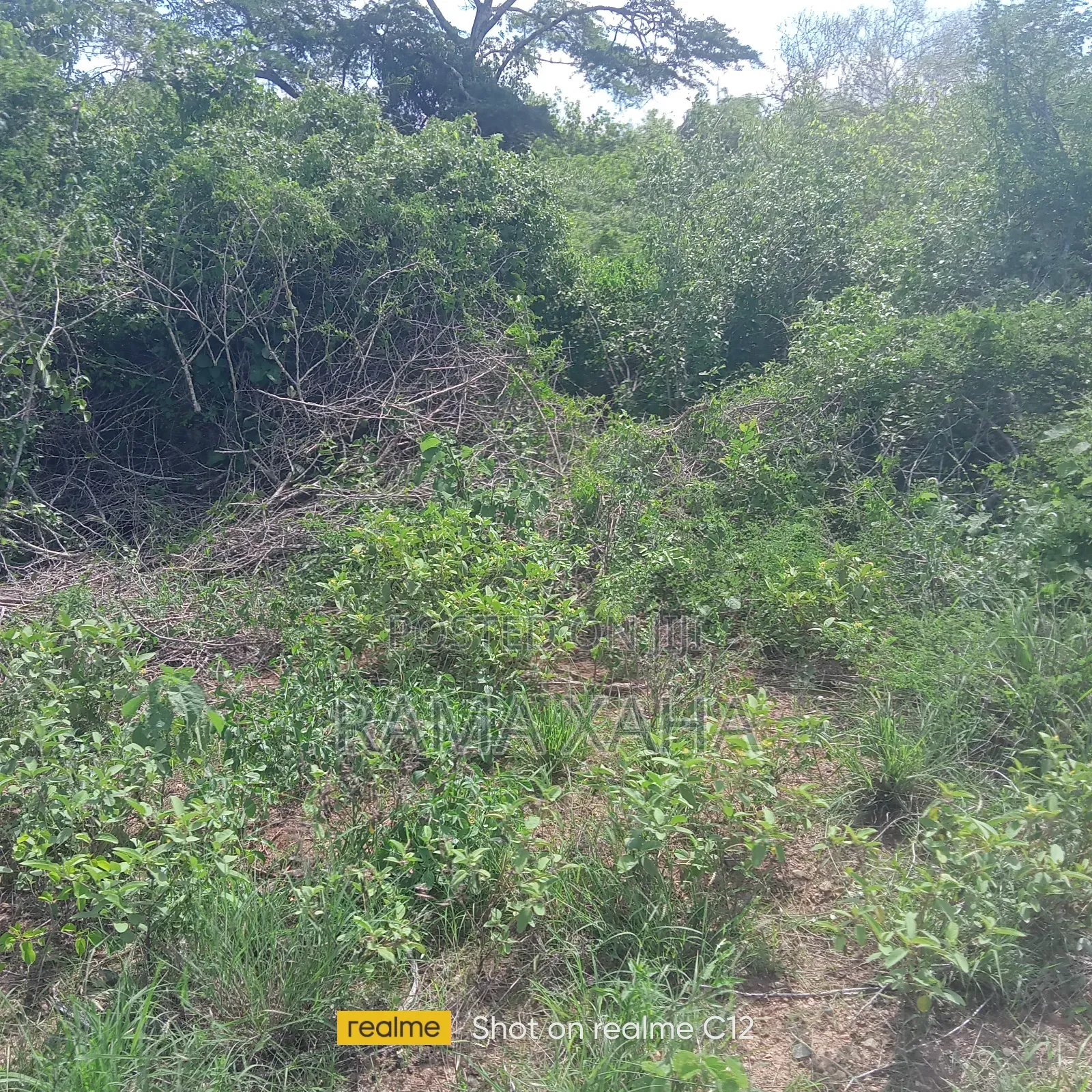 5 Acres for Sale With Ready Title Deed in Jilore