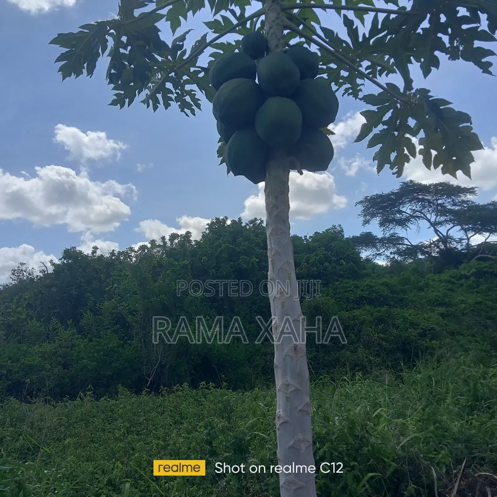 5 Acres for Sale With Ready Title Deed in Jilore