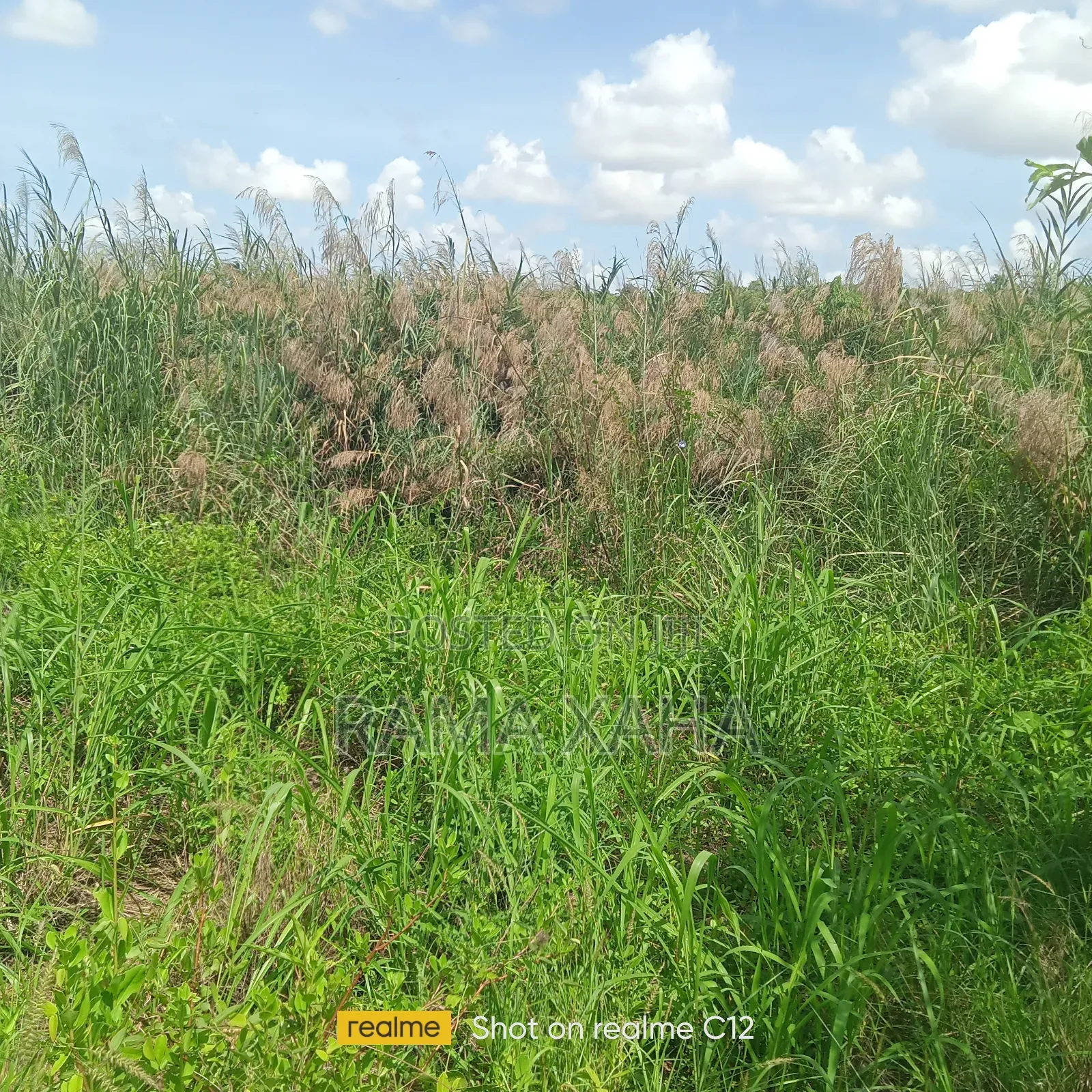 5 Acres for Sale With Ready Title Deed in Jilore