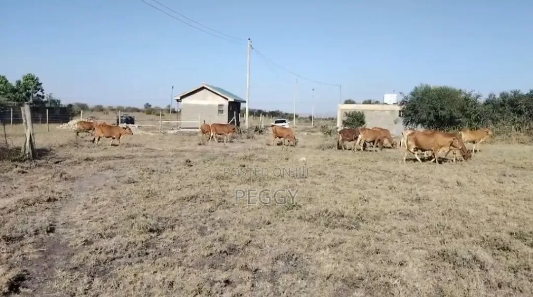 1/4 Acre Plot for Sale in Kitengela Milimani at 2.8m in Kitengela