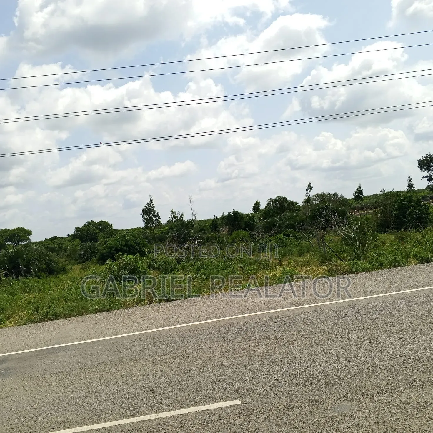 Lamu Pearls Gardens in Hindi