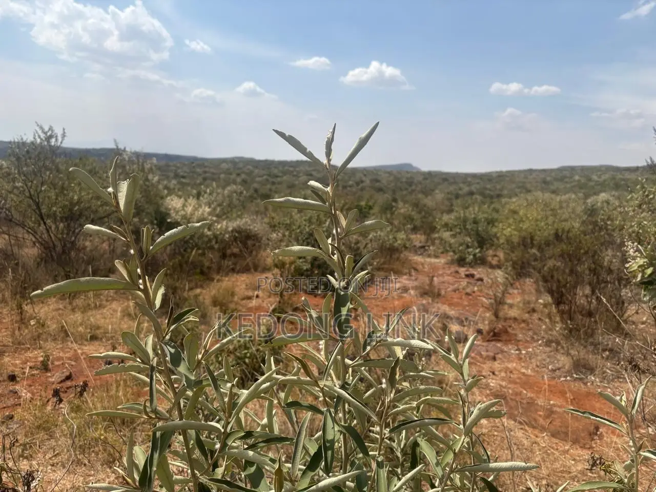 Ntashat / Kimuka 5 to 10 Acres for Sale in Kibiku