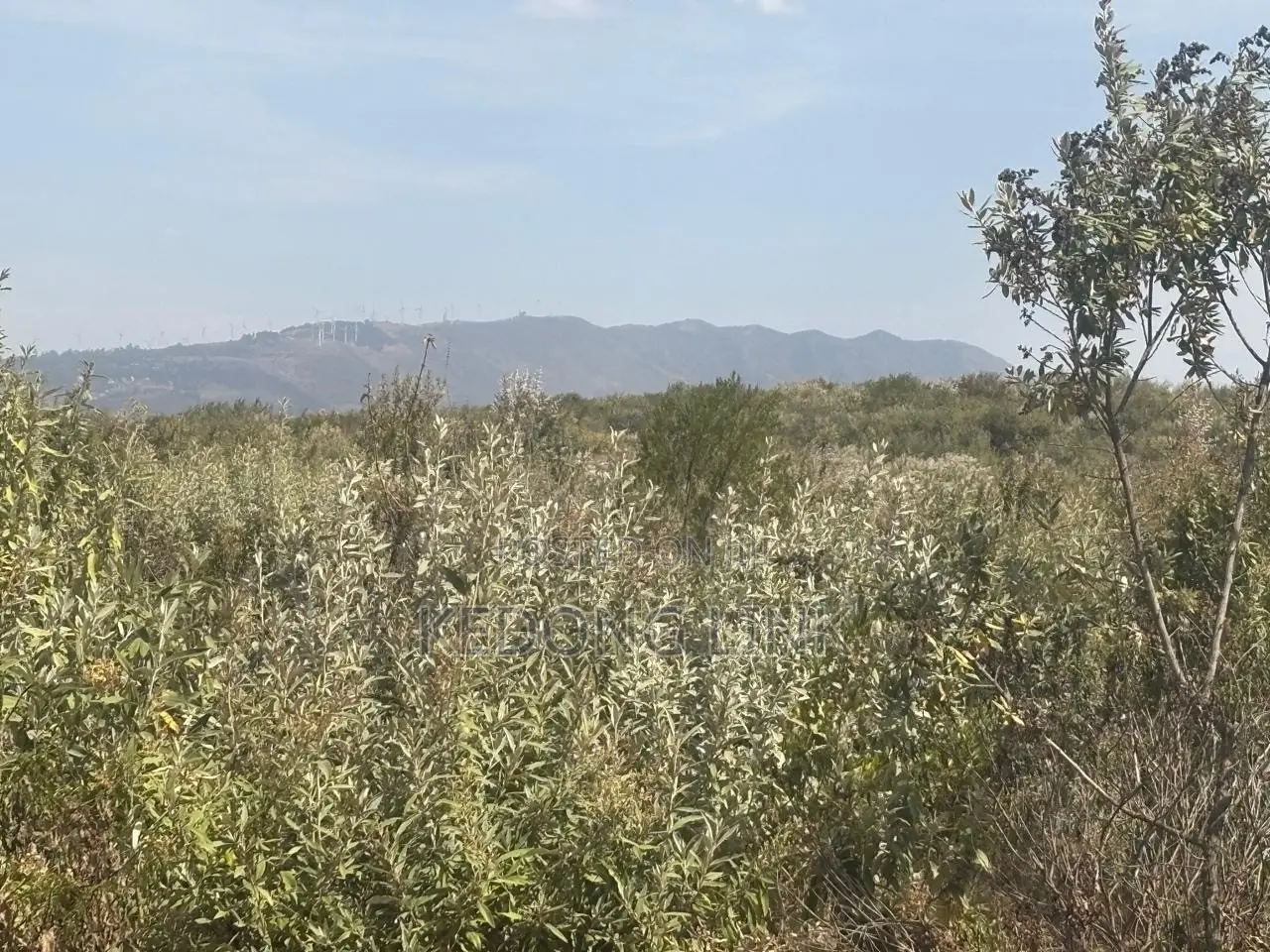 Ntashat / Kimuka 5 to 10 Acres for Sale in Kibiku