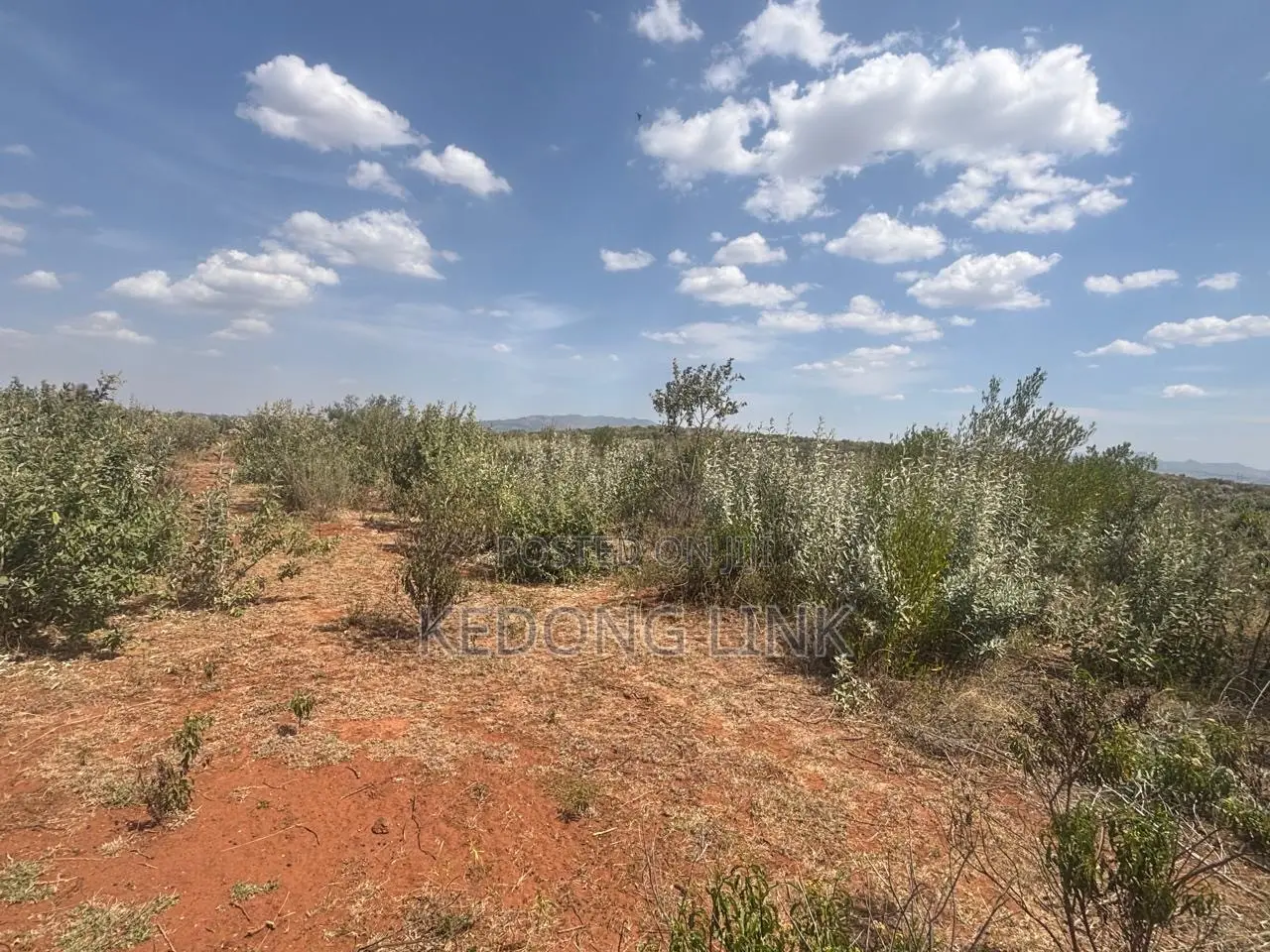 Ntashat / Kimuka 5 to 10 Acres for Sale in Kibiku