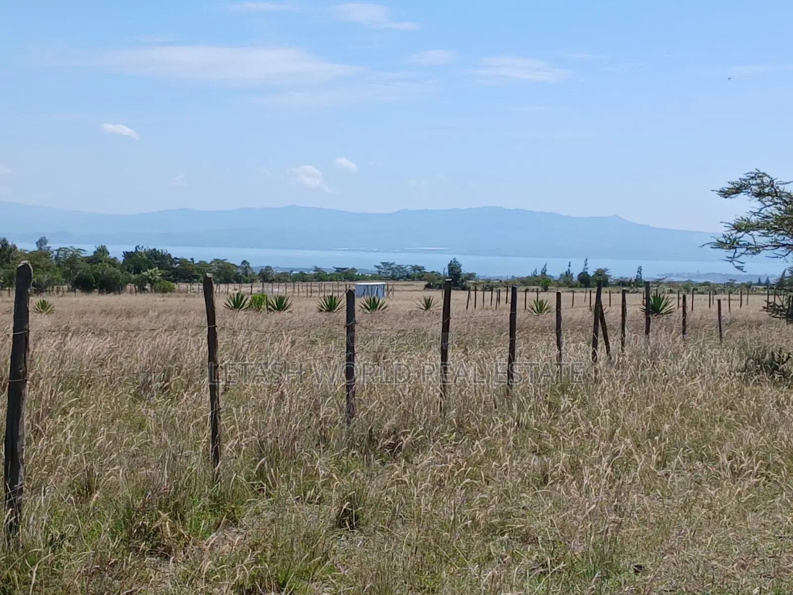Selling for 750,000 in Cash, in Naivasha, 50 by 100 Plots in Mirera