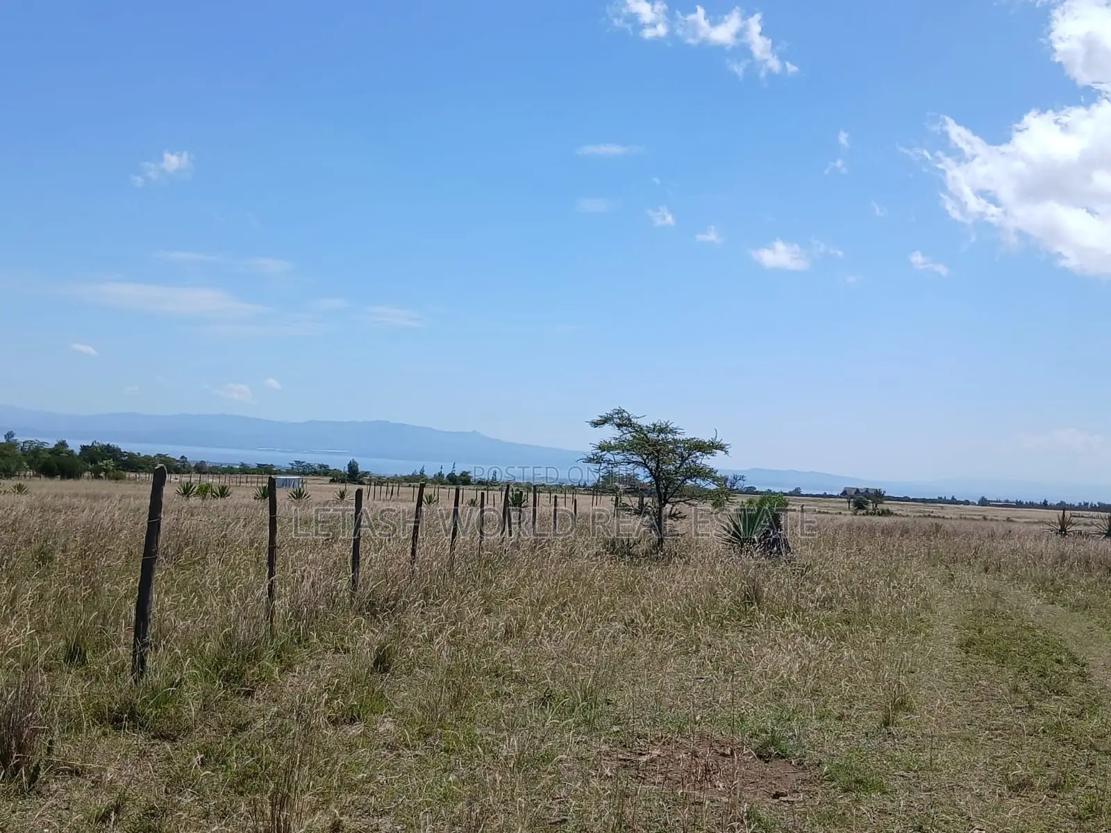 Selling for 750,000 in Cash, in Naivasha, 50 by 100 Plots in Mirera