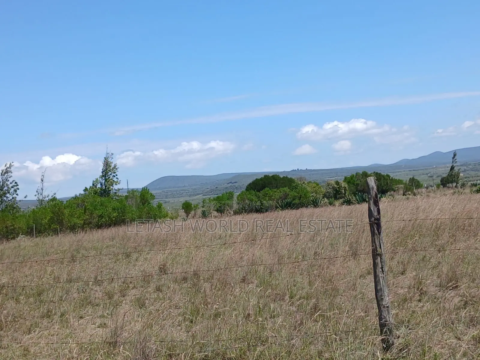 Selling for 750,000 in Cash, in Naivasha, 50 by 100 Plots in Mirera