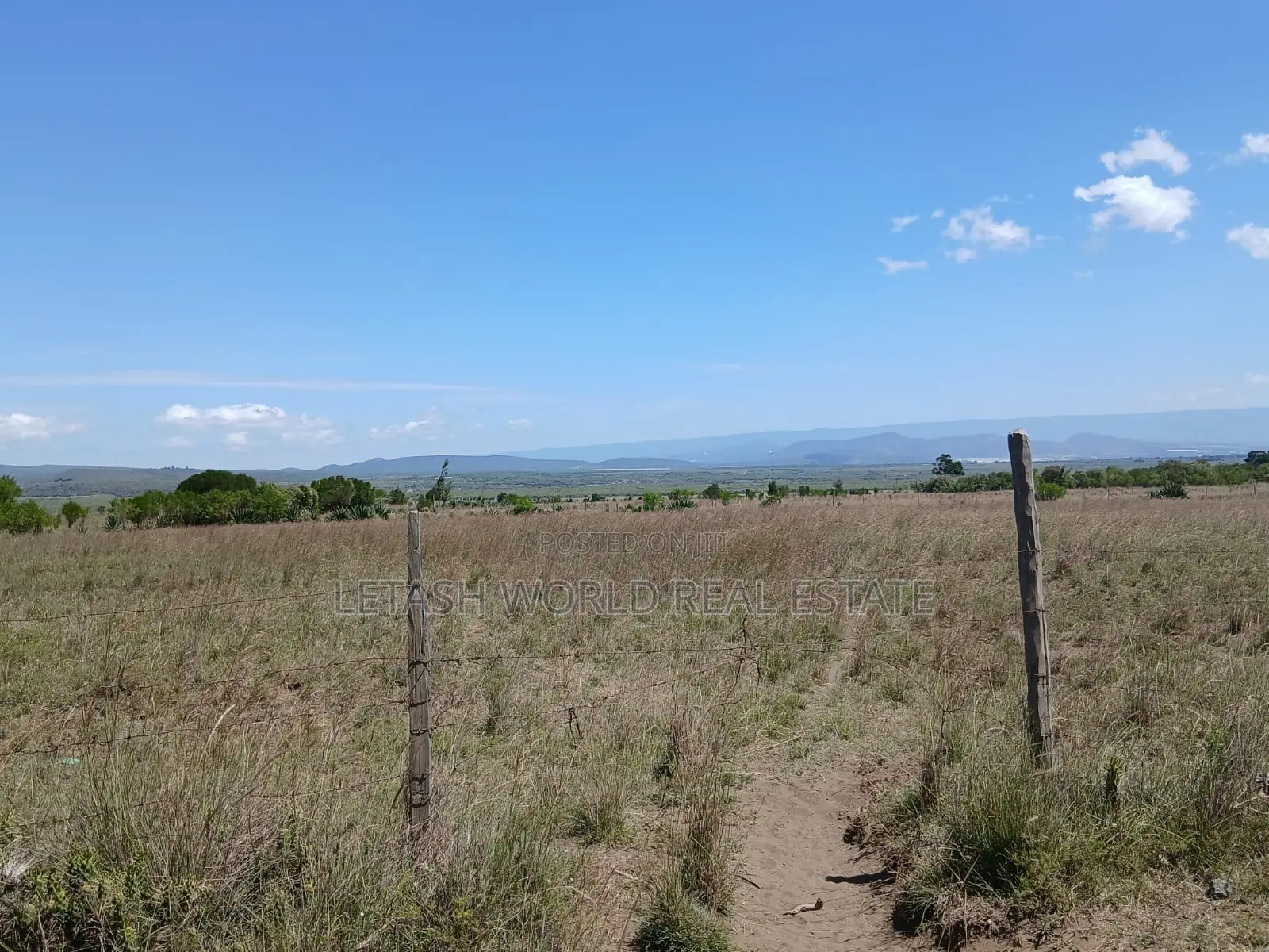 Selling for 750,000 in Cash, in Naivasha, 50 by 100 Plots in Mirera
