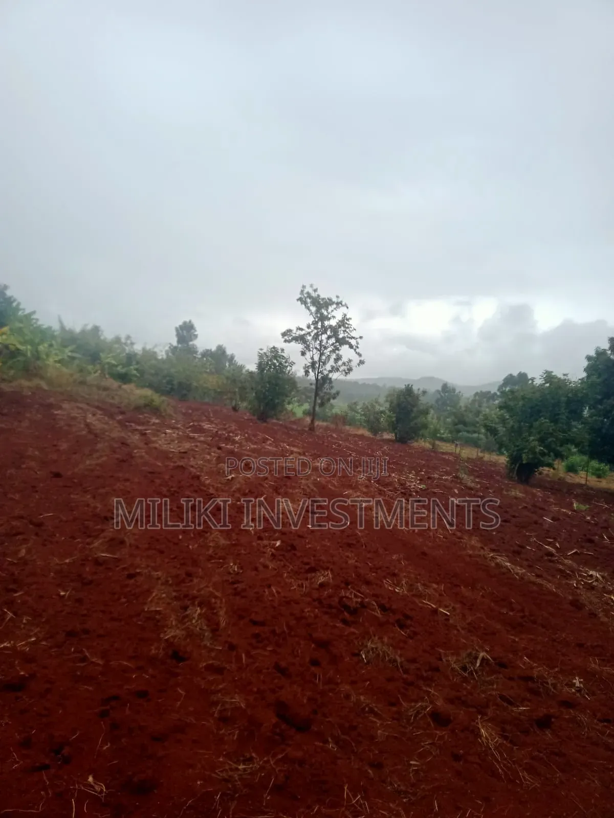 4.5 Acres on Sale at Kerugoya in Kerugoya