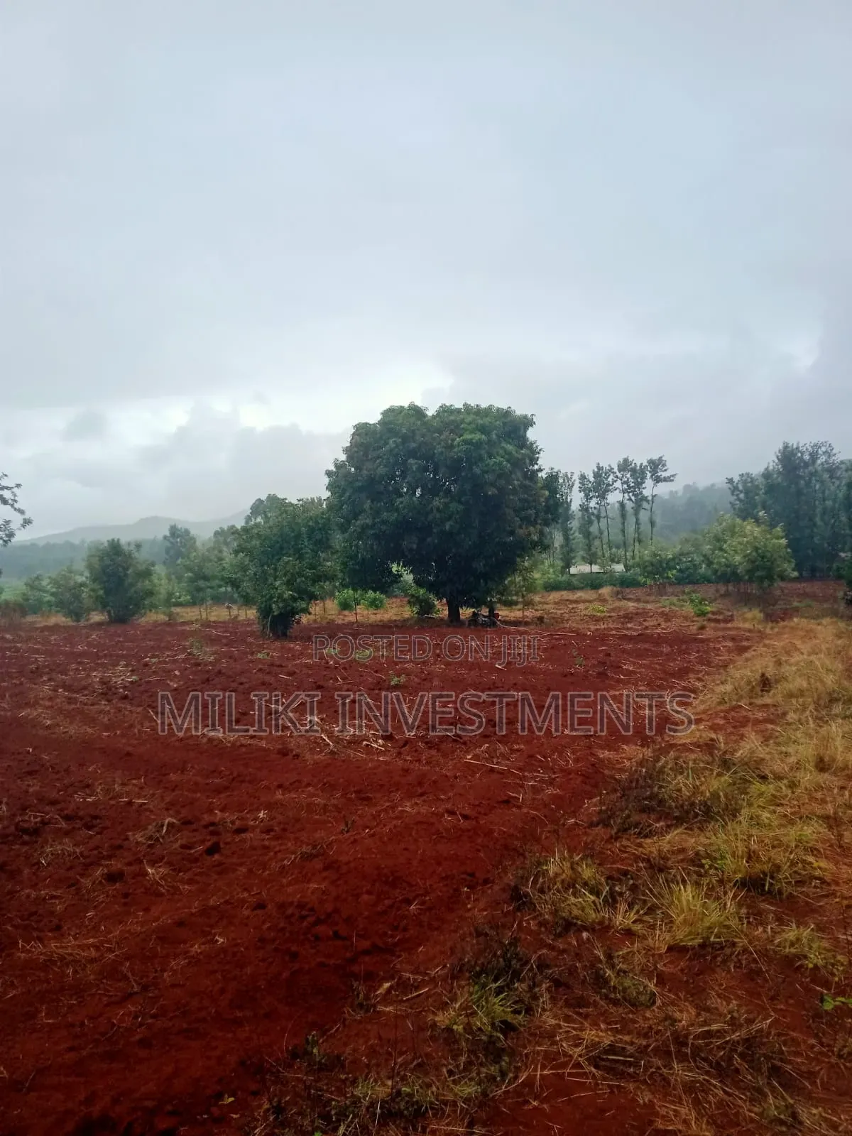 4.5 Acres on Sale at Kerugoya in Kerugoya