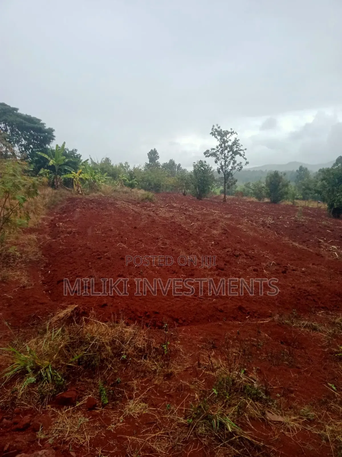 4.5 Acres on Sale at Kerugoya in Kerugoya