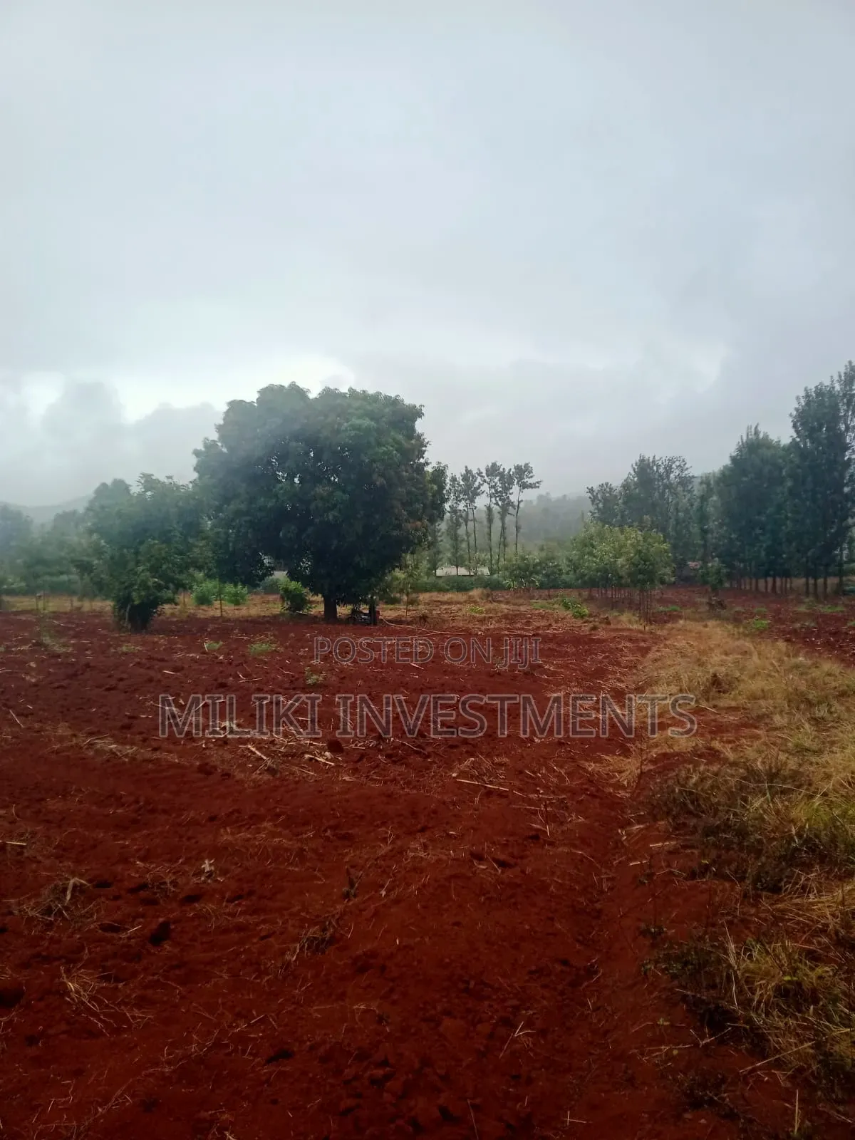 4.5 Acres on Sale at Kerugoya in Kerugoya