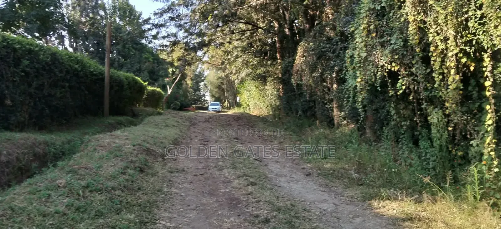 1⁄2 Acre Prime Residential Land in Karen in Karen C