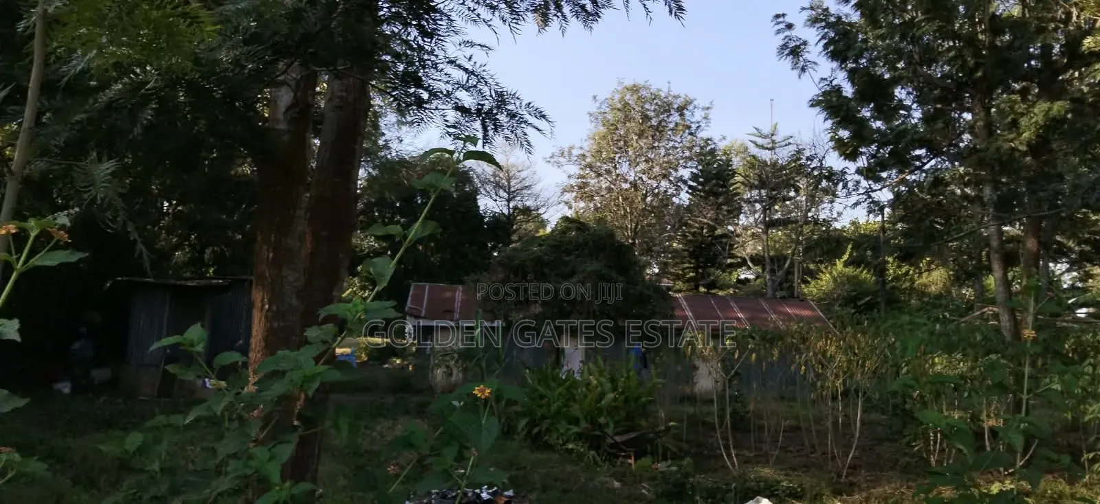 1⁄2 Acre Prime Residential Land in Karen in Karen C