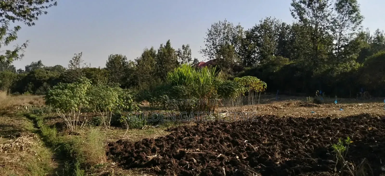 1⁄2 Acre Prime Residential Land in Karen in Karen C