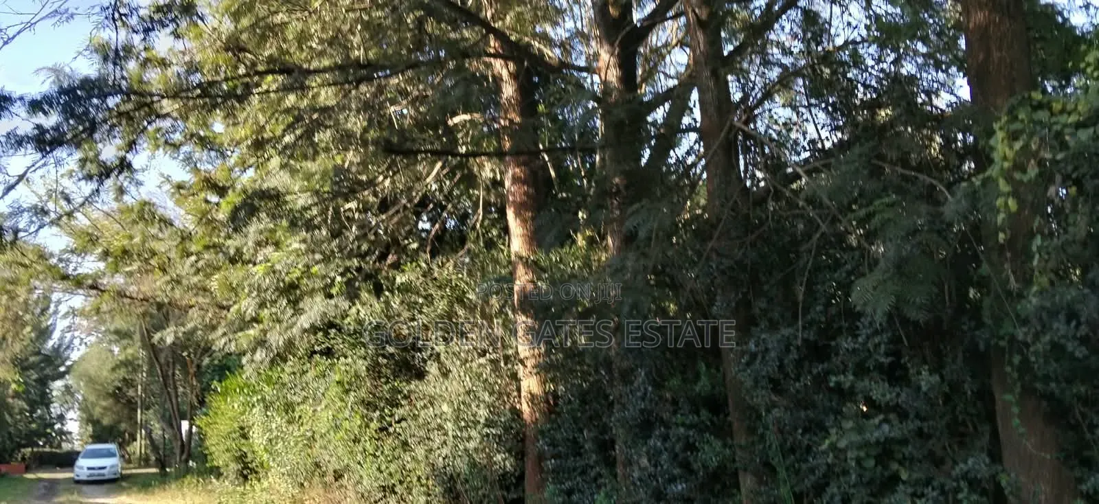 1⁄2 Acre Prime Residential Land in Karen in Karen C