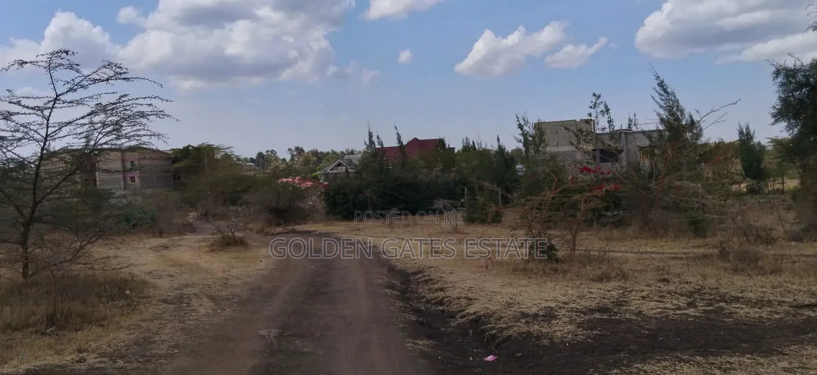 Prime 50×100 Plot in Rimpa, Ongata Rongai 100m Off Tarmac | KSH 3m in Rimpa