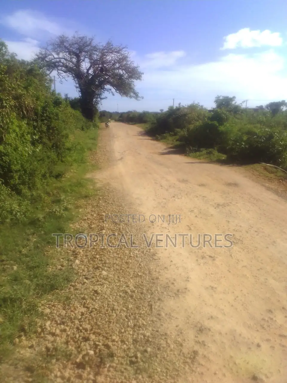 Beach Land for Sale in Diani