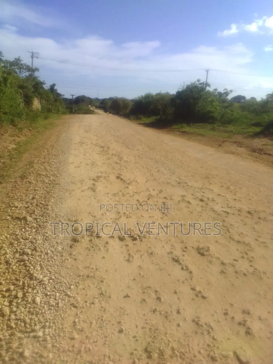 Beach Land for Sale in Diani