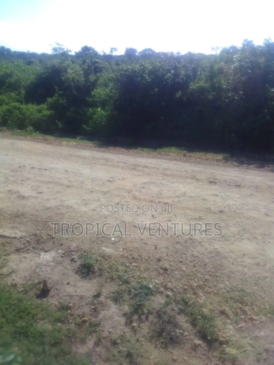 Beach Land for Sale in Diani