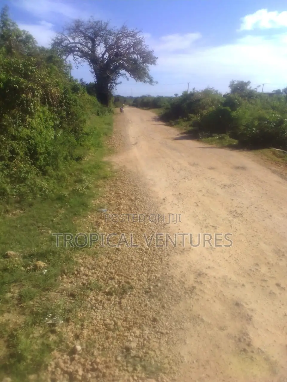 Beach Land for Sale in Diani