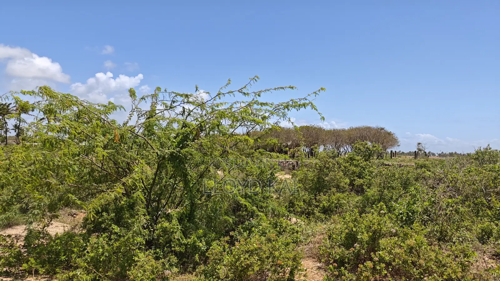 Quick Sale by Owner! 10.9 Acres for Sale at Ksh.1.8M Per Acre in Tezo