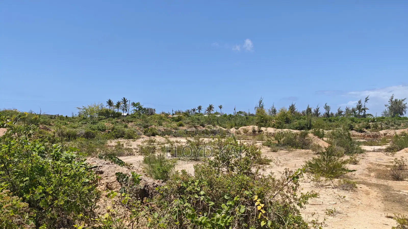 Quick Sale by Owner! 10.9 Acres for Sale at Ksh.1.8M Per Acre in Tezo