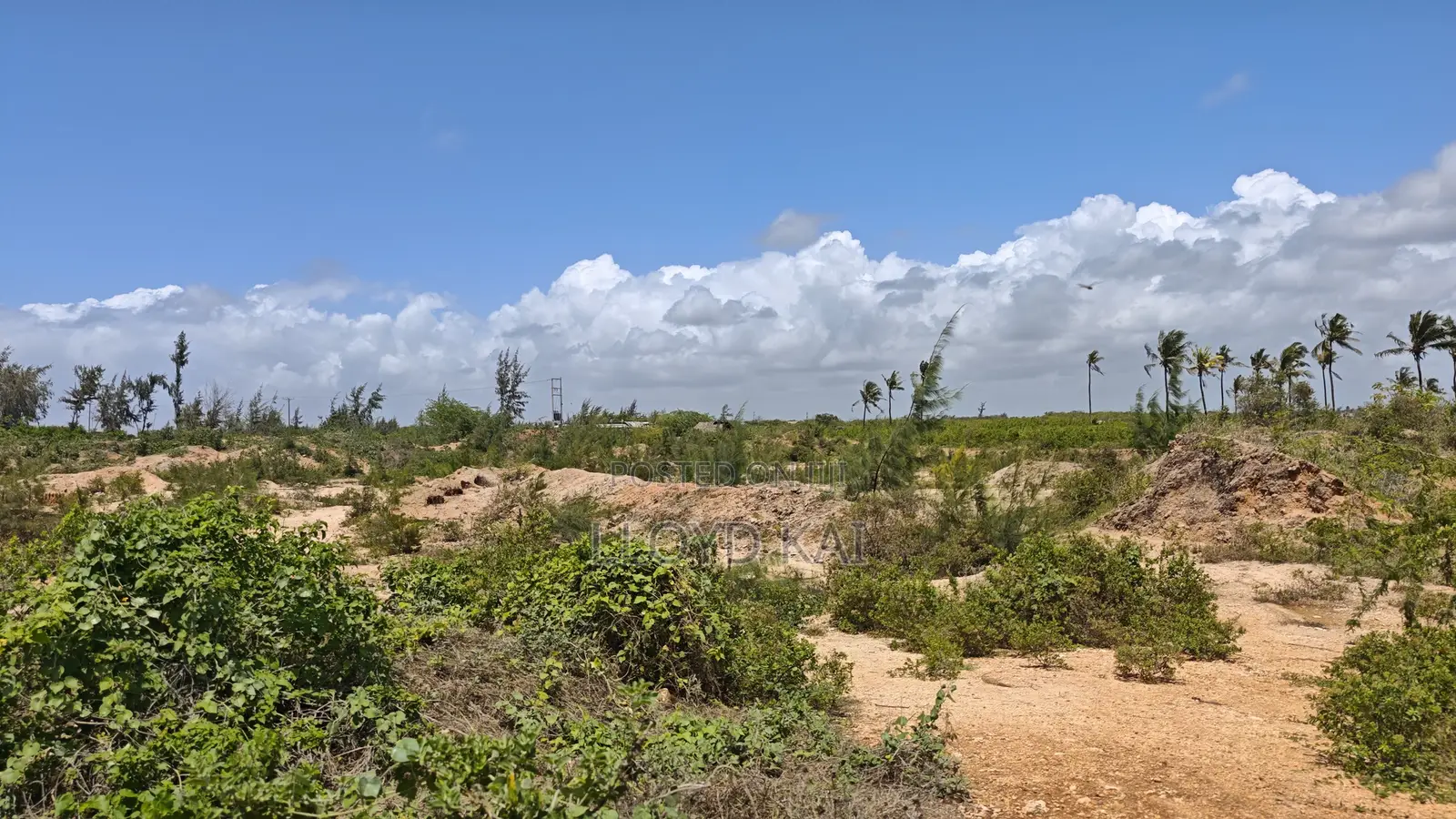 Quick Sale by Owner! 10.9 Acres for Sale at Ksh.1.8M Per Acre in Tezo