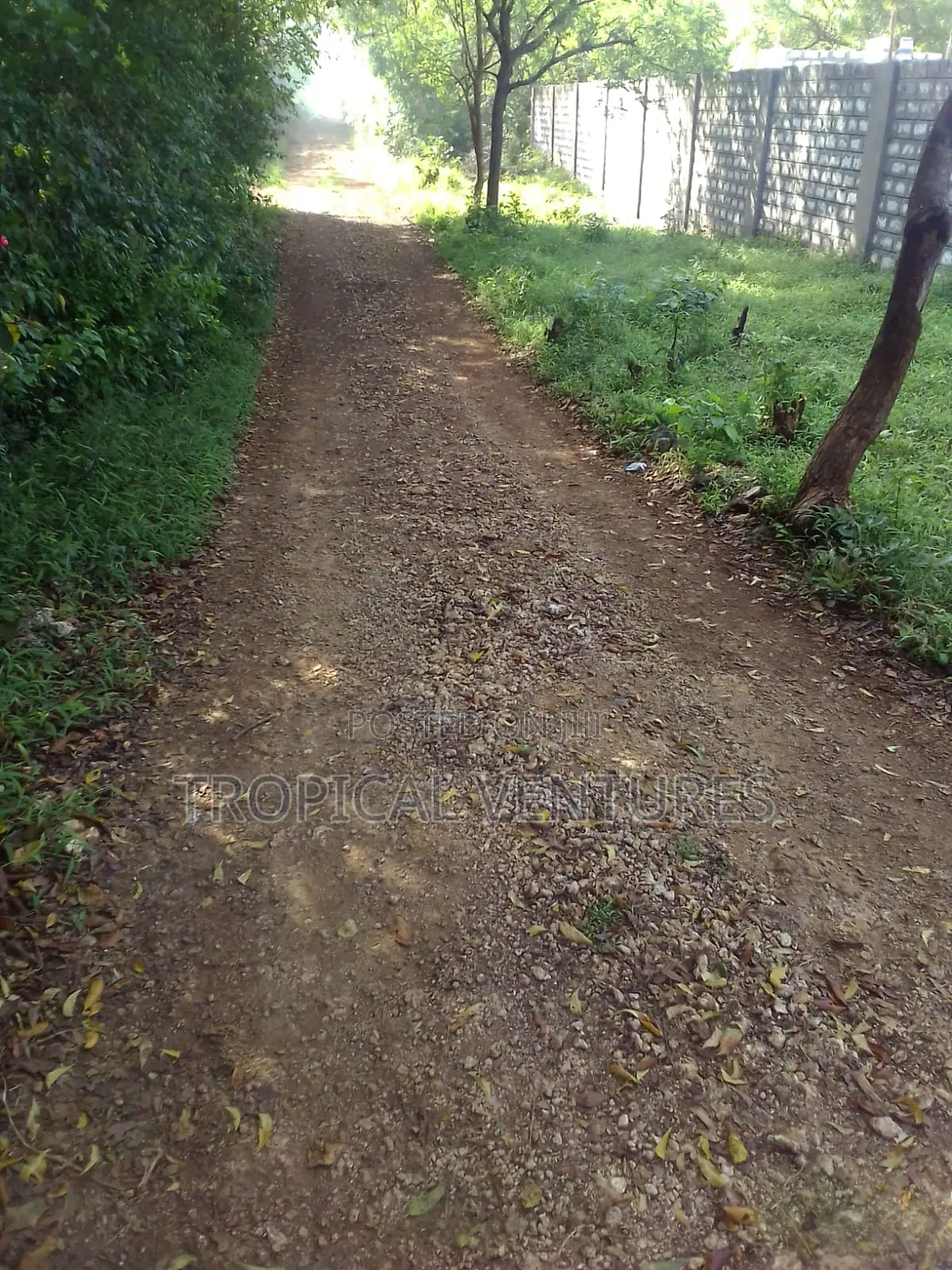 Beach Plot for Sale in Diani
