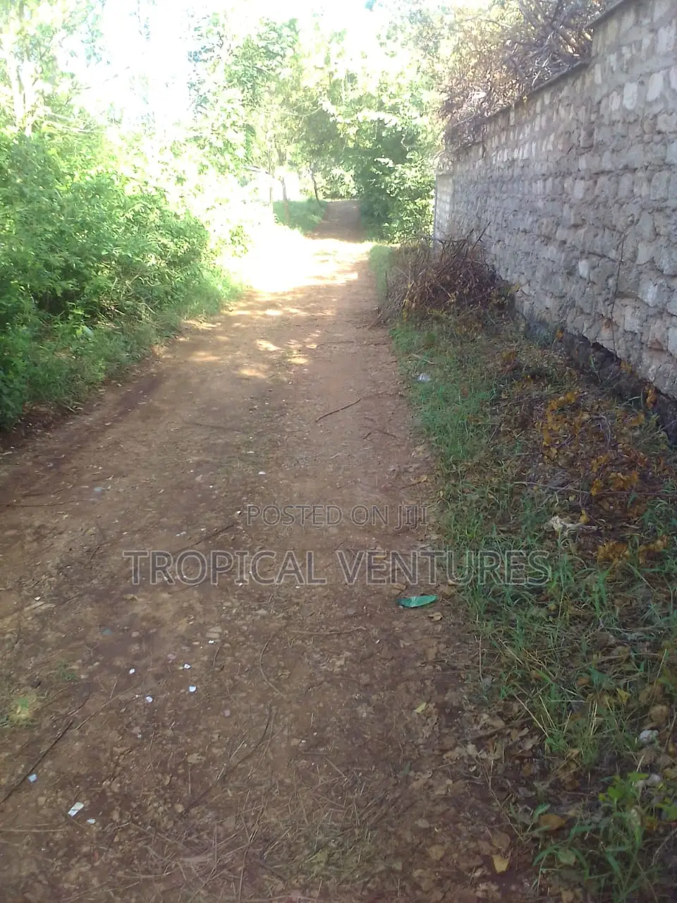 Beach Plot for Sale in Diani