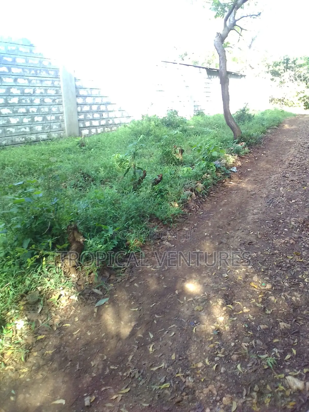 Beach Plot for Sale in Diani
