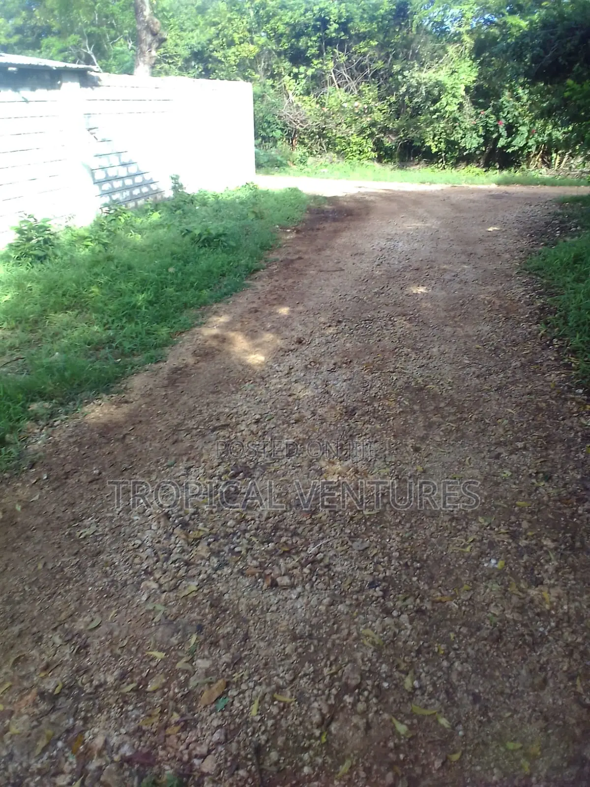 Beach Plot for Sale in Diani