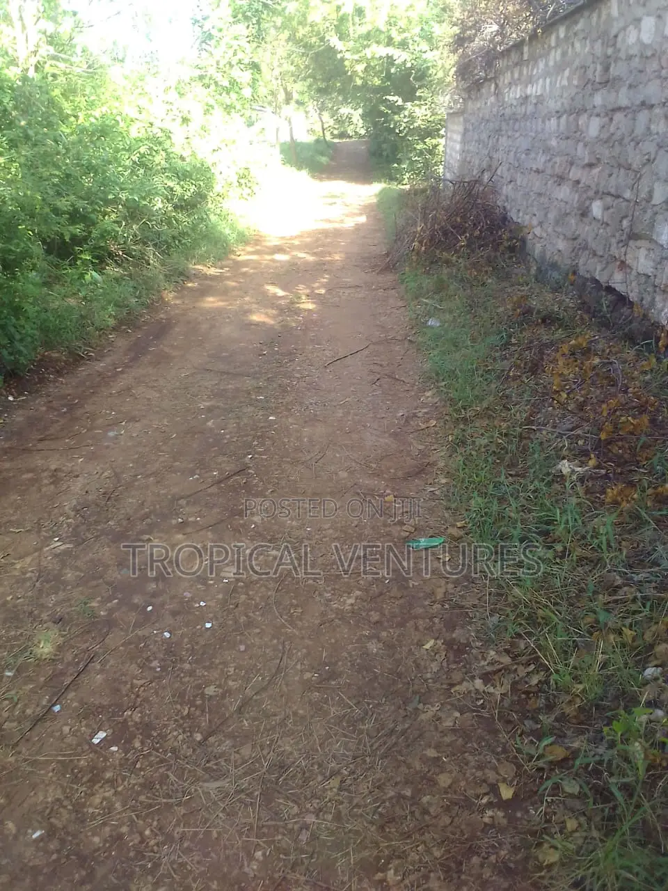 Beach Plot for Sale in Diani