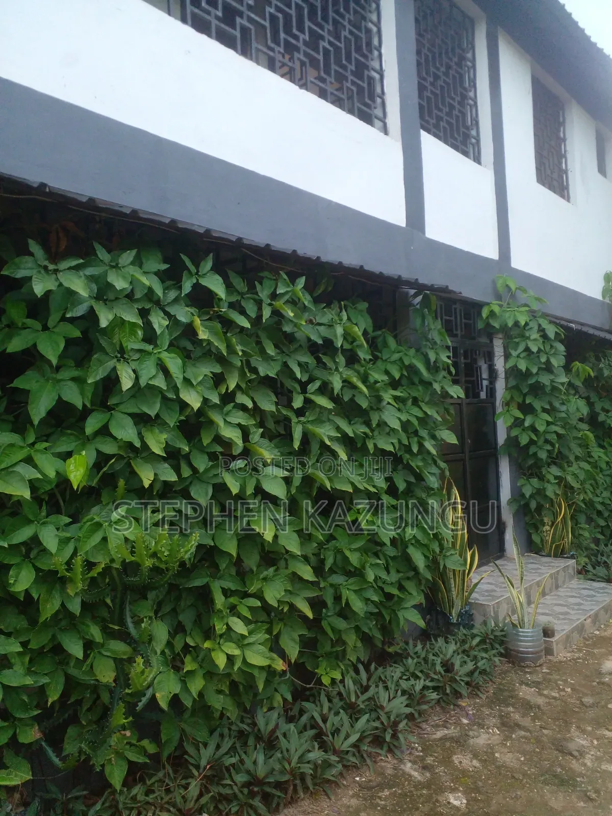 1bdrm House in Amani House, Diani for rent in Diani