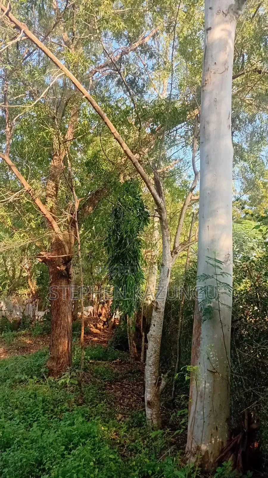 Galu Beach 1 Acre Plot on Sale at Kosovo Area. in Diani