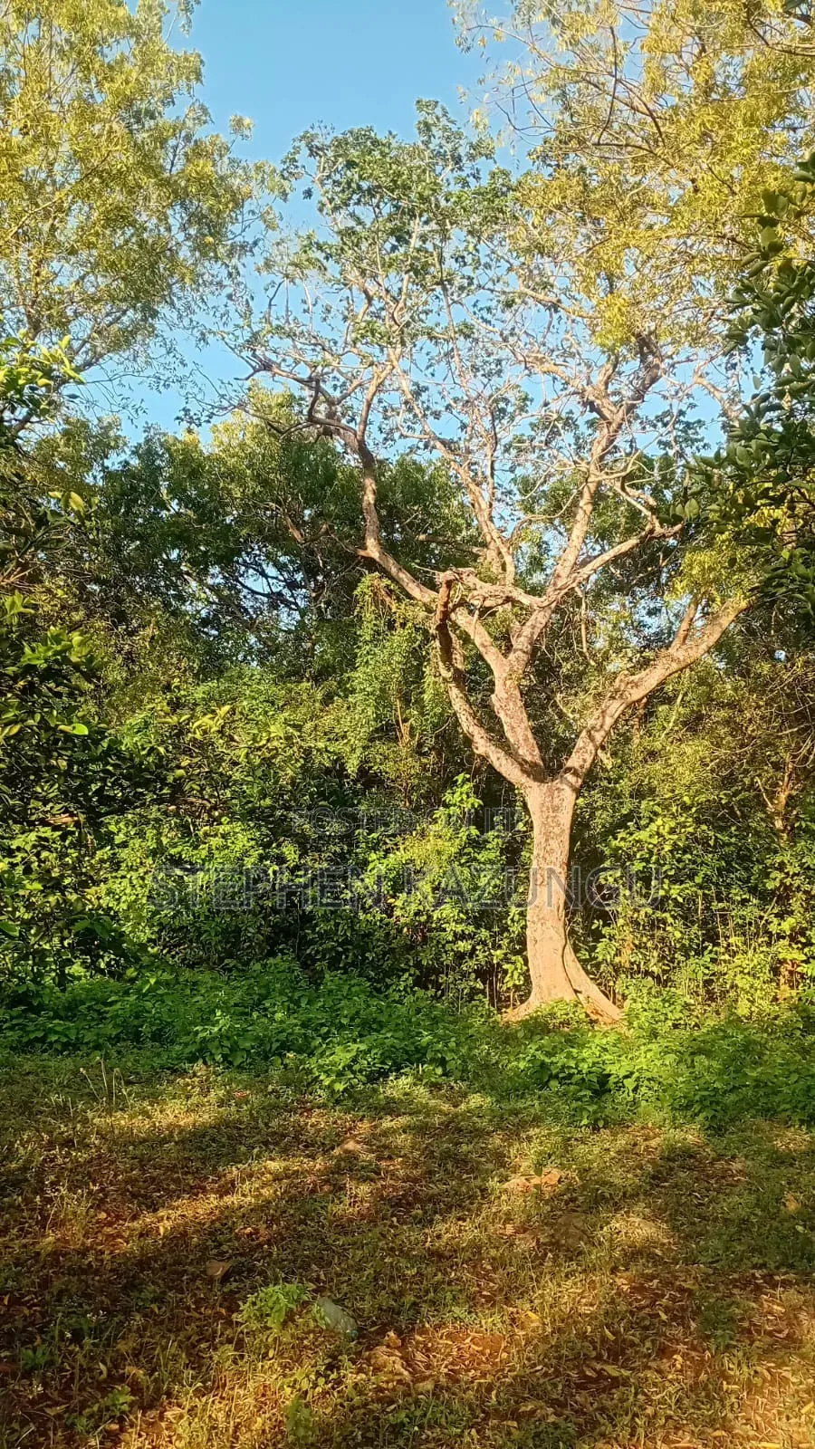 Galu Beach 1 Acre Plot on Sale at Kosovo Area. in Diani