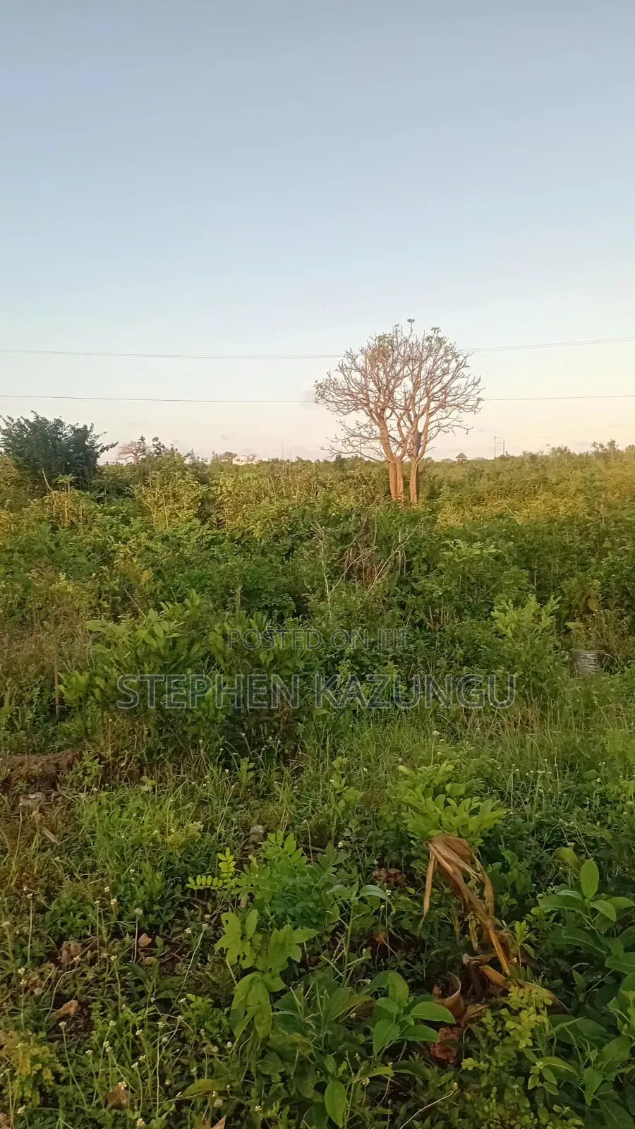 1 Acre Plot on Sale at Galu Beach Only 1.2 KMS From Beach. in Diani