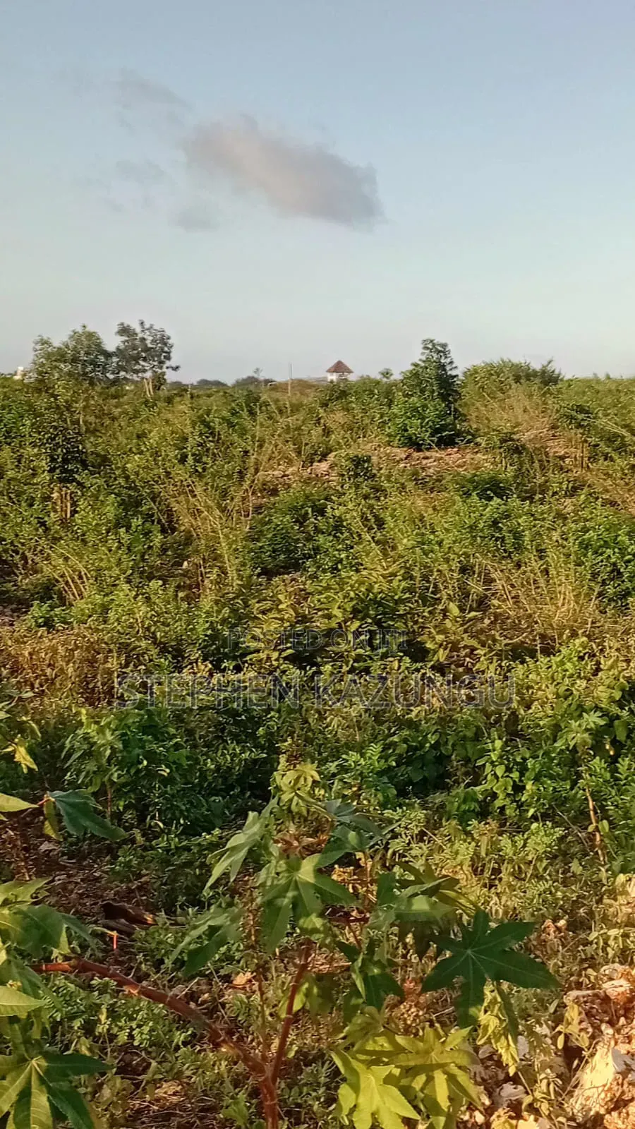1 Acre Plot on Sale at Galu Beach Only 1.2 KMS From Beach. in Diani