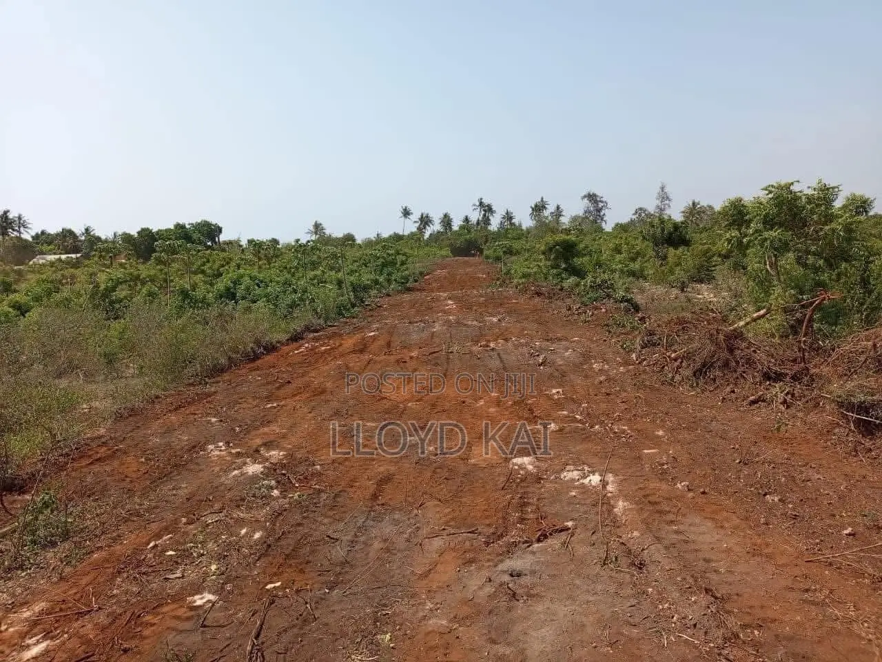 50*100plots for Sale , With Ready Titles!Lipa Mdogomdogo Available in Tezo