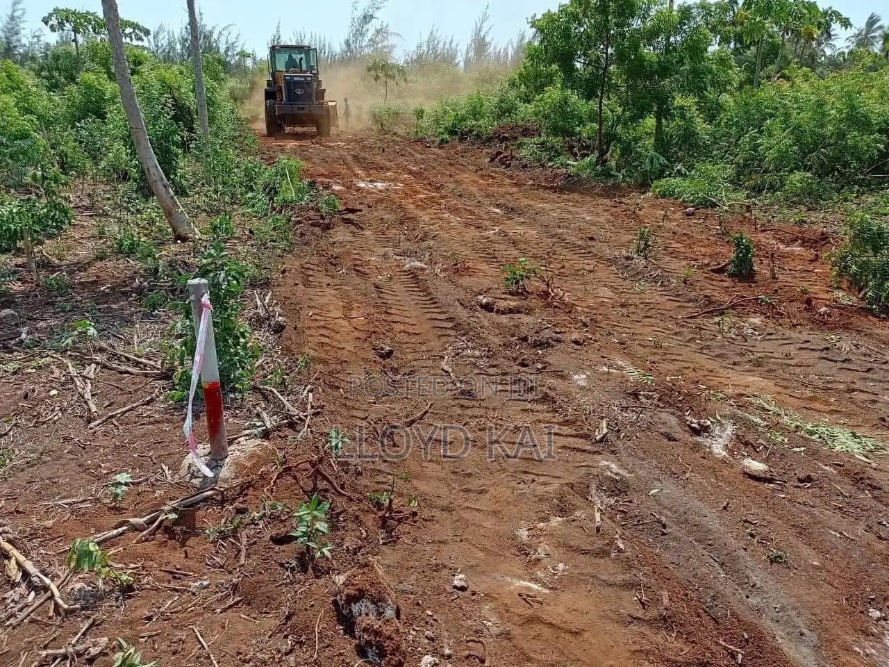 50*100plots for Sale , With Ready Titles!Lipa Mdogomdogo Available in Tezo
