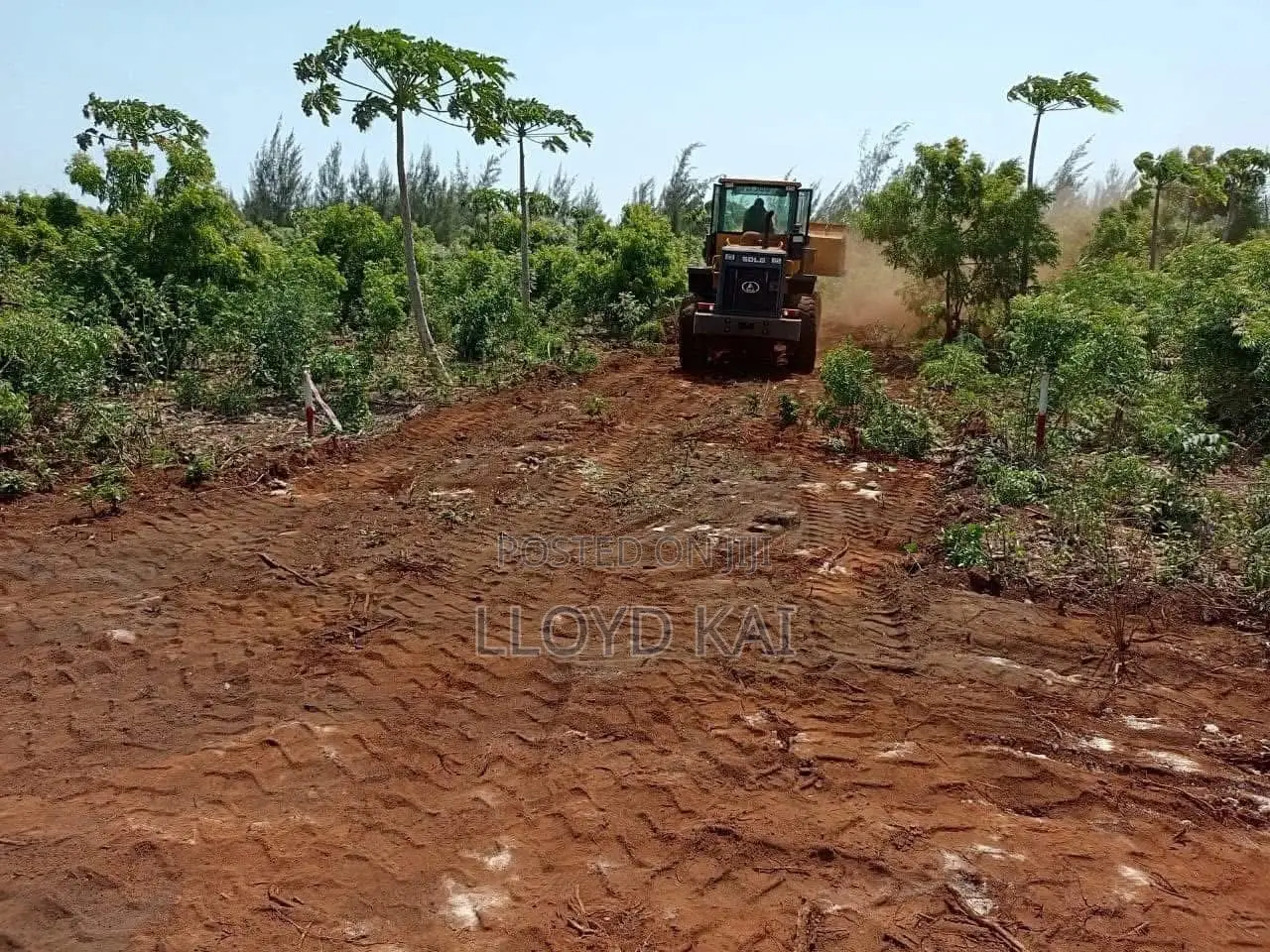 50*100plots for Sale , With Ready Titles!Lipa Mdogomdogo Available in Tezo
