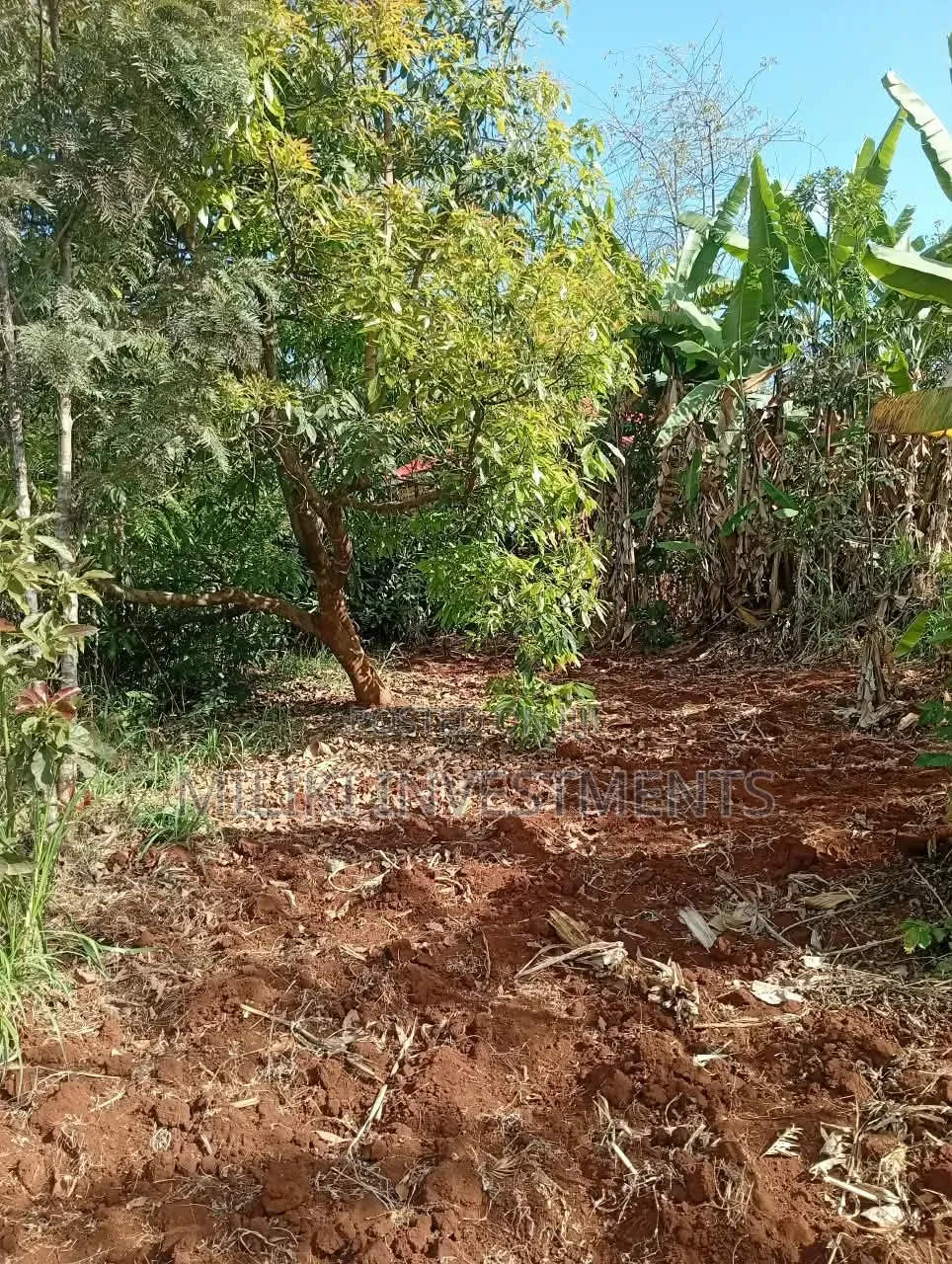 1 Acre on Sale at ITHINGU Gatundu South in Kiganjo