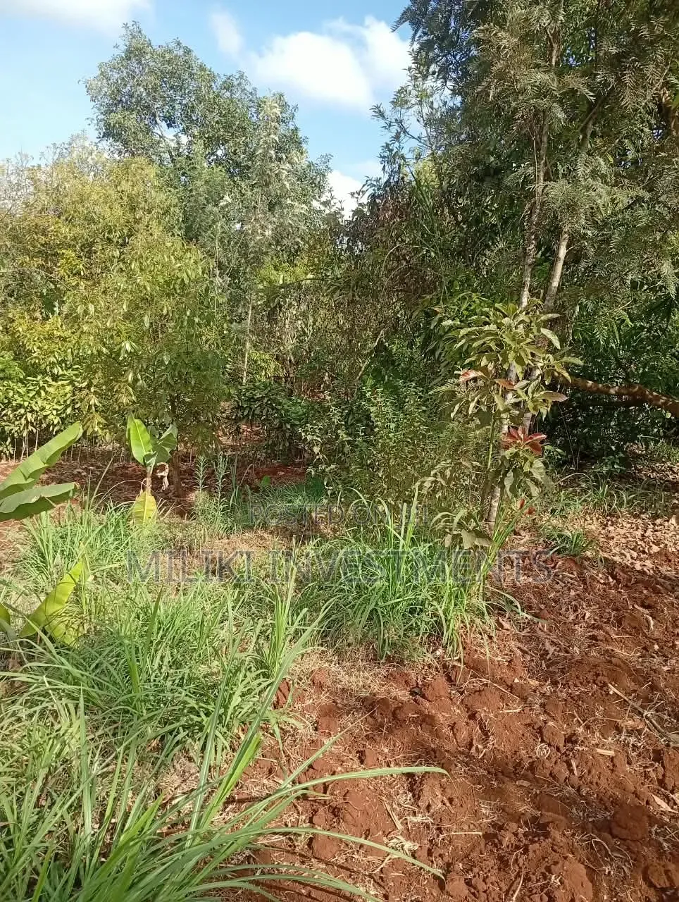 1 Acre on Sale at ITHINGU Gatundu South in Kiganjo