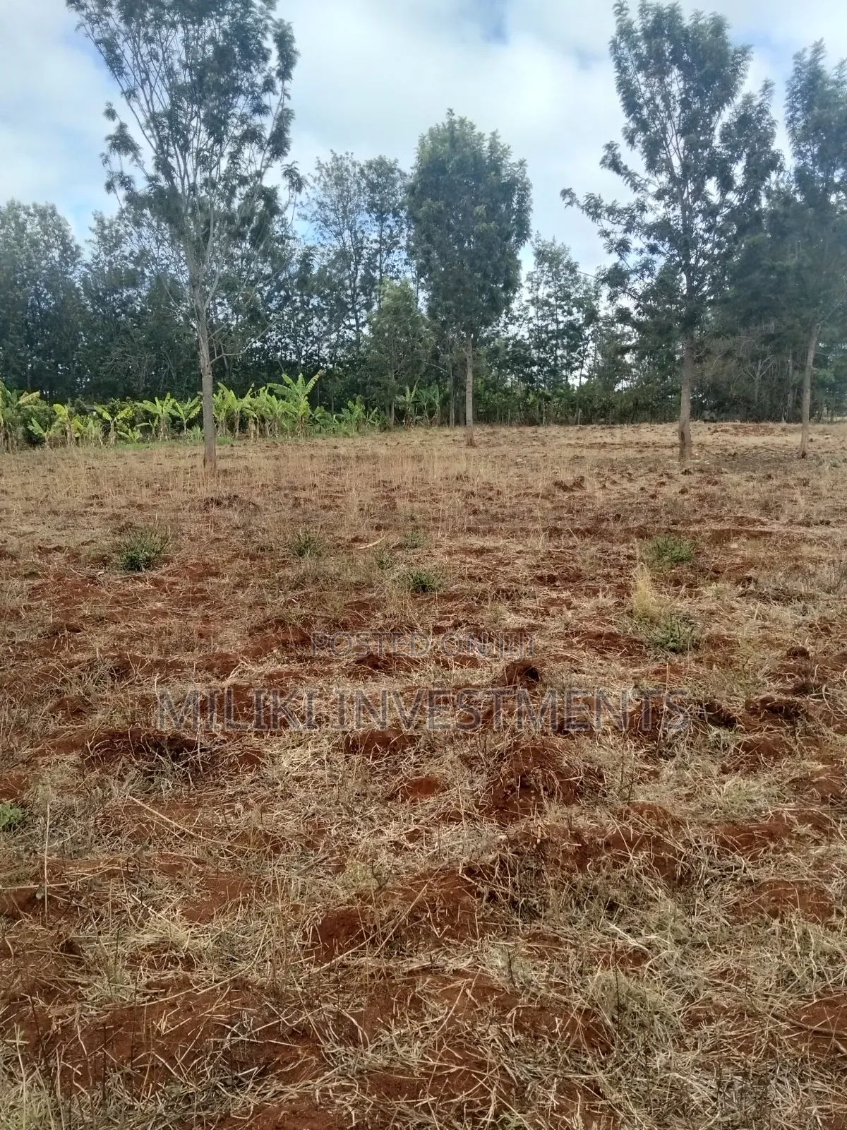 1 Acre Land on Sale at Thika -Maguguni in Ngoliba