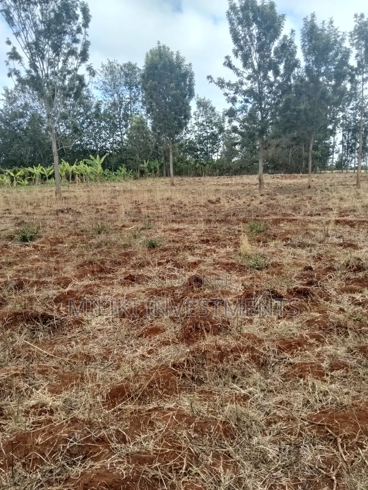 1 Acre Land on Sale at Thika -Maguguni in Ngoliba