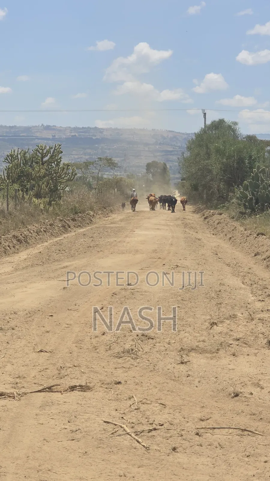 50 X 100 Plots in JB Pipeline Nakuru in Eburru
