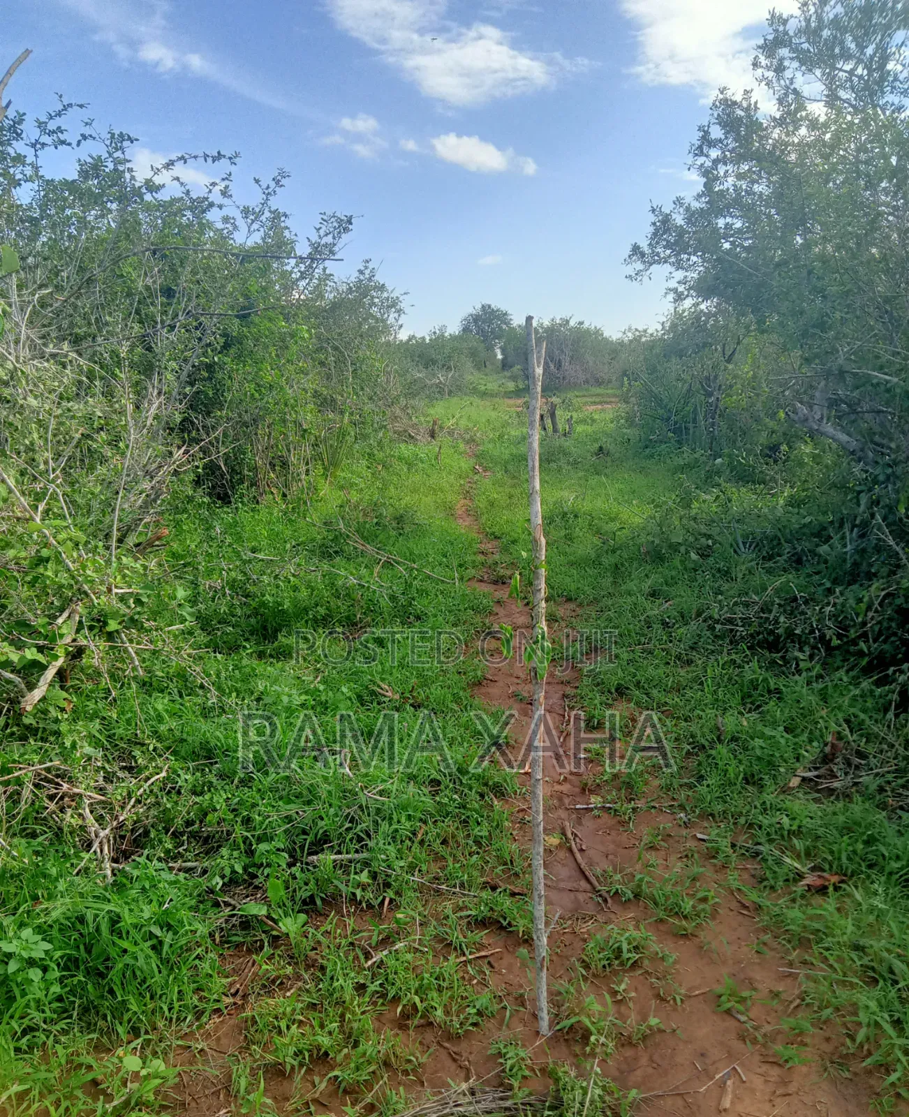 24 Acres for Sale at Sosobora Malindi in Jilore