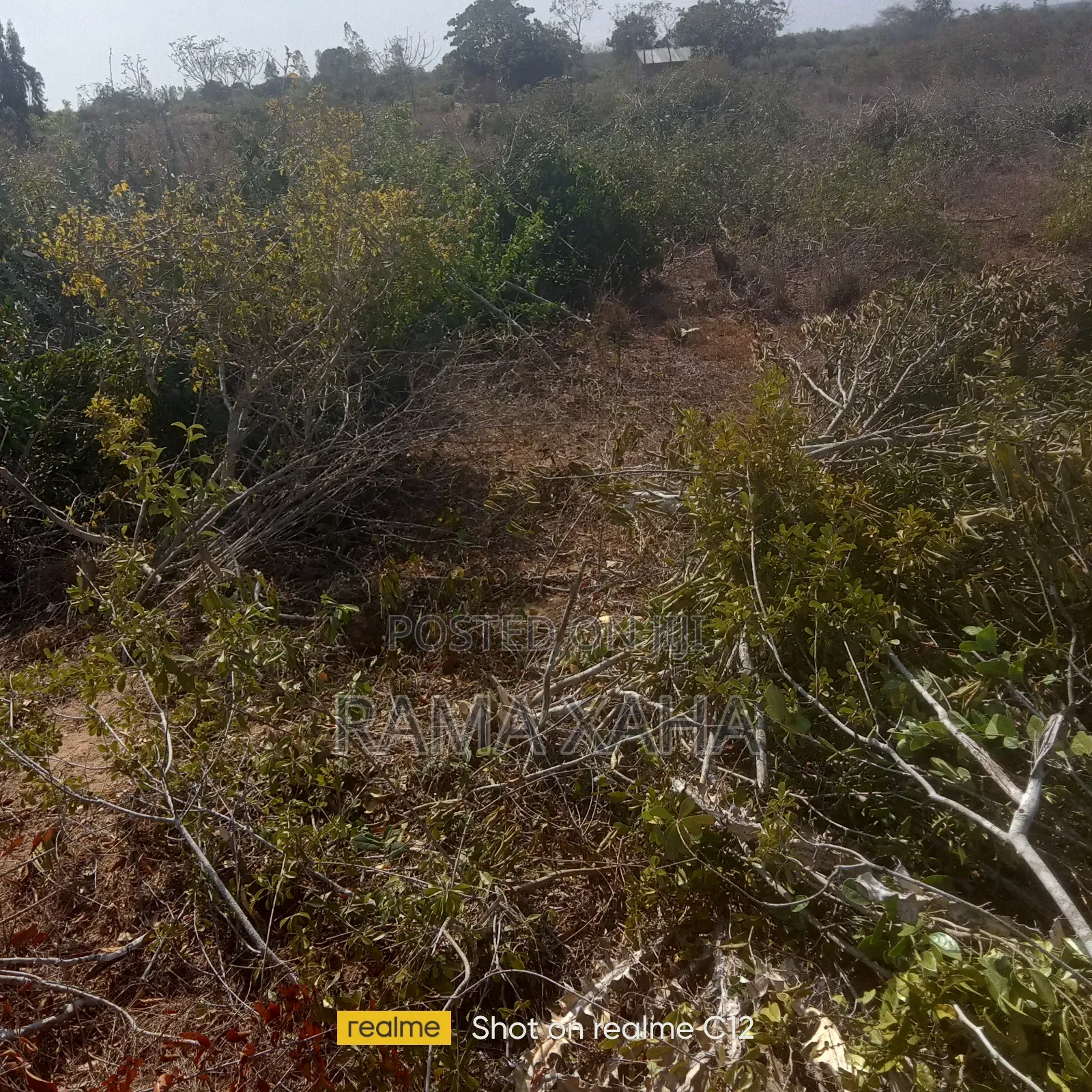 24 Acres for Sale at Sosobora Malindi in Jilore