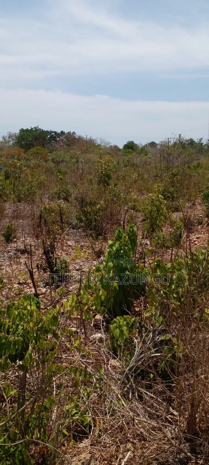 Galu Beach's High-End 1 Acre Plot Close to the White Sandy Beach. in Diani