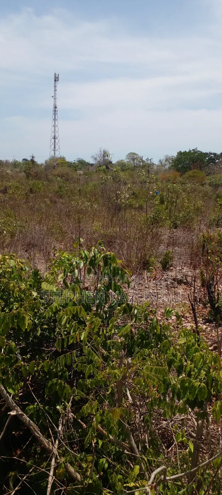 Galu Beach's High-End 1 Acre Plot Close to the White Sandy Beach. in Diani
